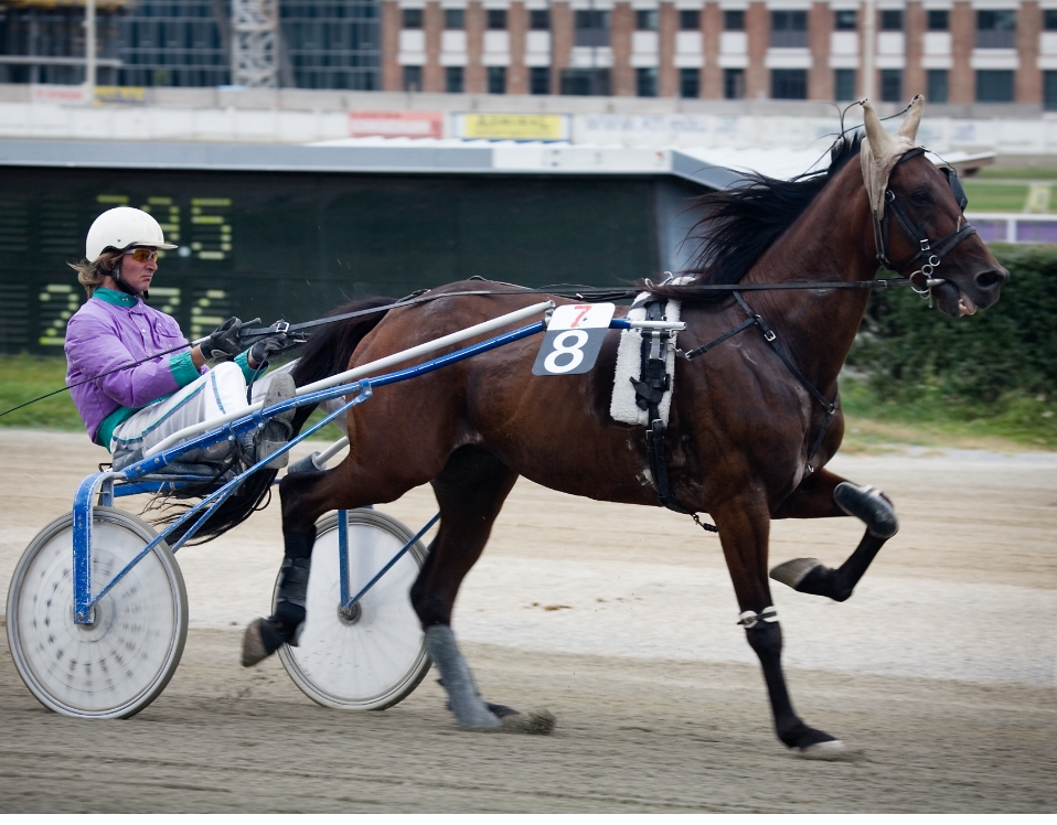 Harness race