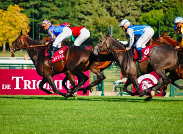 Building A Better Racehorse