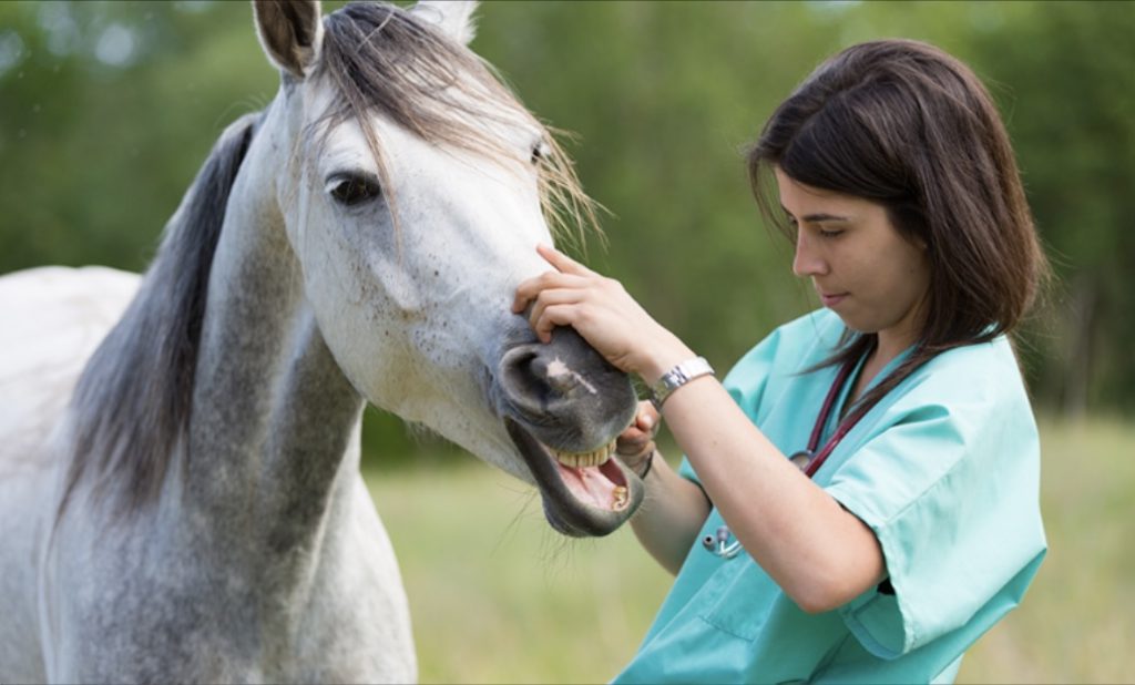 General Chemistry Services
