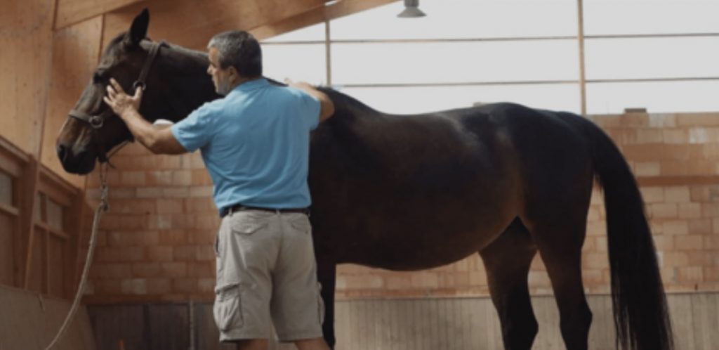 Mental and Physical Evaluation