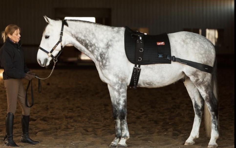 Diversify Training Tools