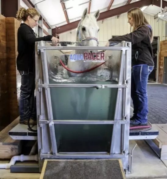 Multiple Aqua Pacers