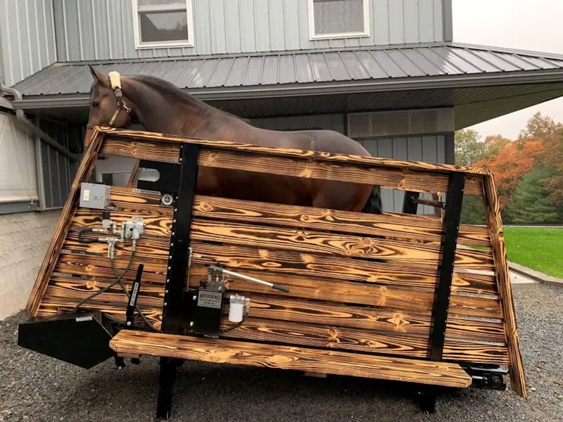 Incline Self-Propelled Treadmill