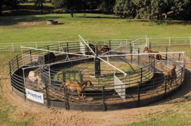 Jogging and Walking Wheel