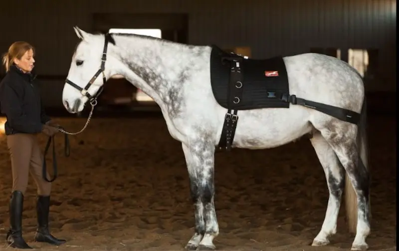 Resistant Band and Therapy Training